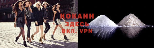 стафф Бородино