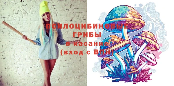 стафф Богородск
