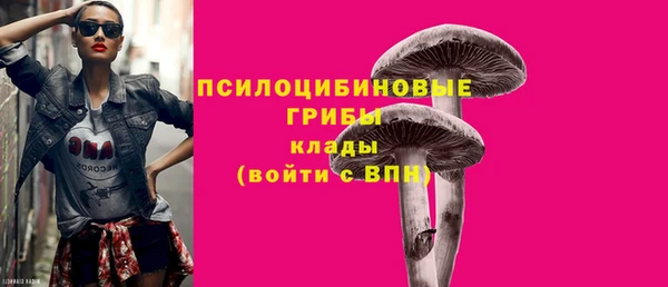 стафф Богородск