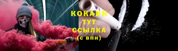 ГАЛЛЮЦИНОГЕННЫЕ ГРИБЫ Богородицк