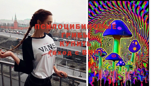 бутират Богданович