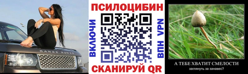 цены наркотик  Новый Уренгой  Галлюциногенные грибы Psilocybine cubensis 
